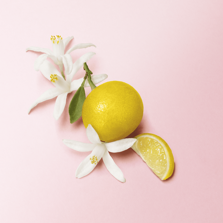My Way - Eau De Parfum, fragancia floral amaderada