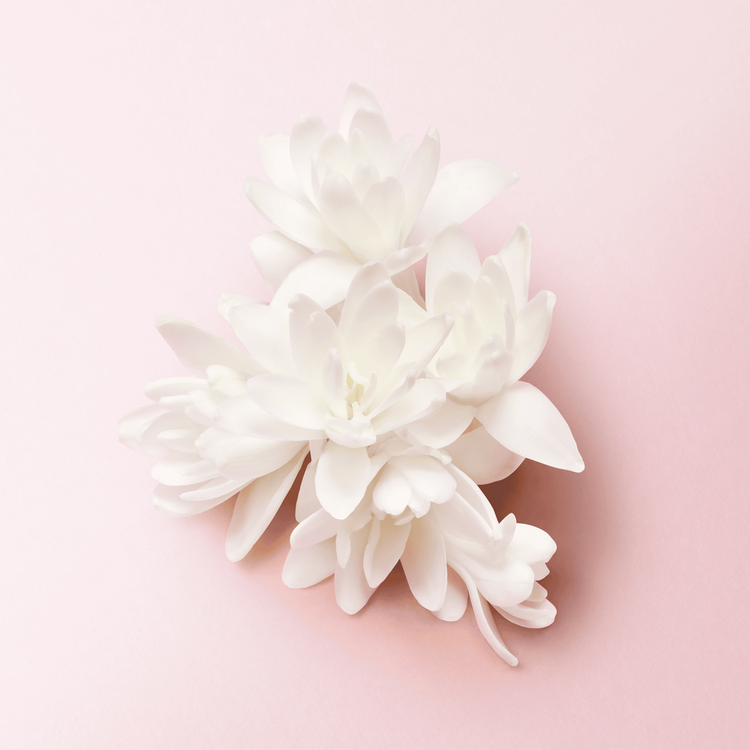 My Way - Eau De Parfum, fragancia floral amaderada